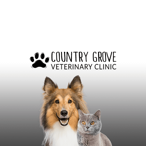 Grove veterinary sale