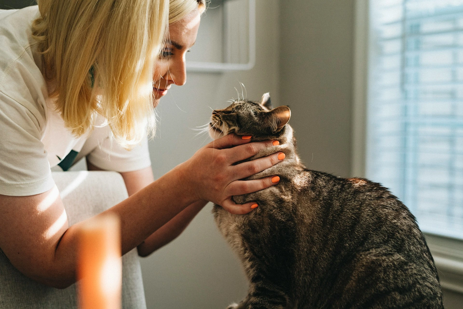A woman is holding a brown tabby cat's head in her hands.